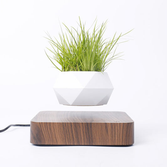 Levitating Air Bonsai Pot Flower Pot Planters Magnetic Suspension Pot - LeviiX
