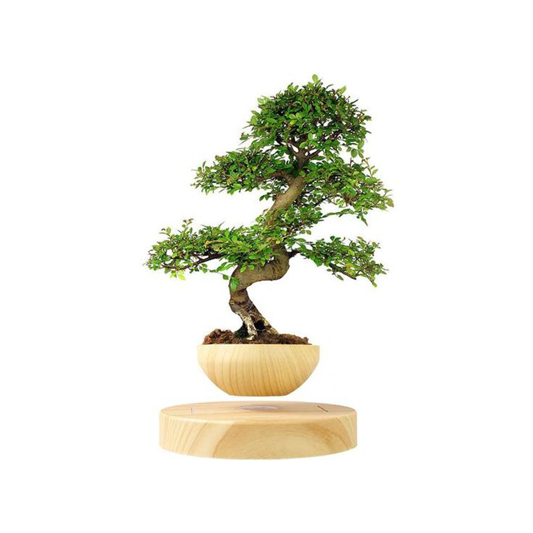 Levitating Plant Pot - LeviiX