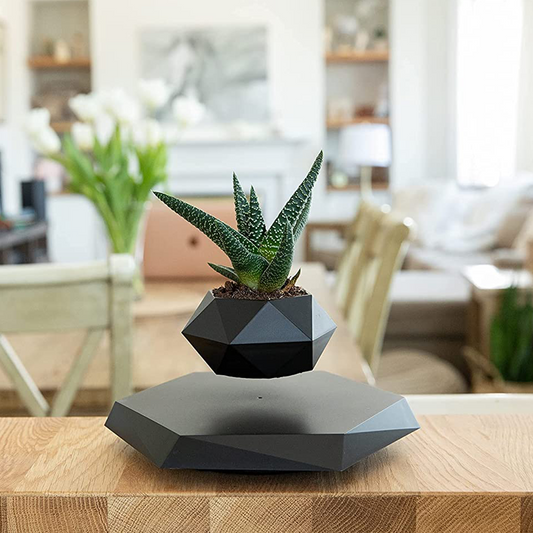 Black Geometric Levitating Plant Pot - LeviiX